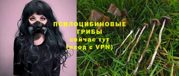 MESCALINE Козельск