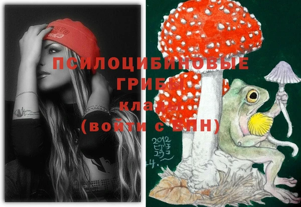 скорость Козловка