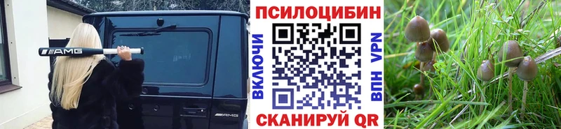 Купить где  Армянск  Псилоцибиновые грибы мицелий 